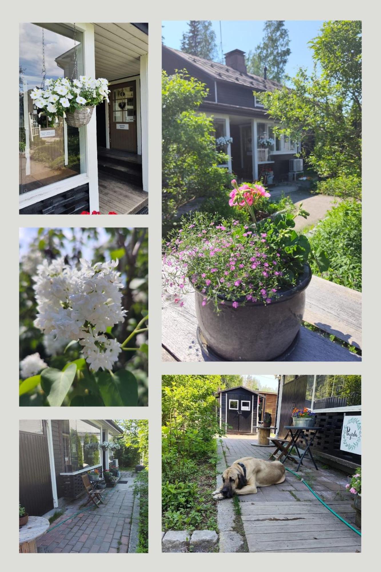 Pajula B&B Järvenpää Eksteriør bilde